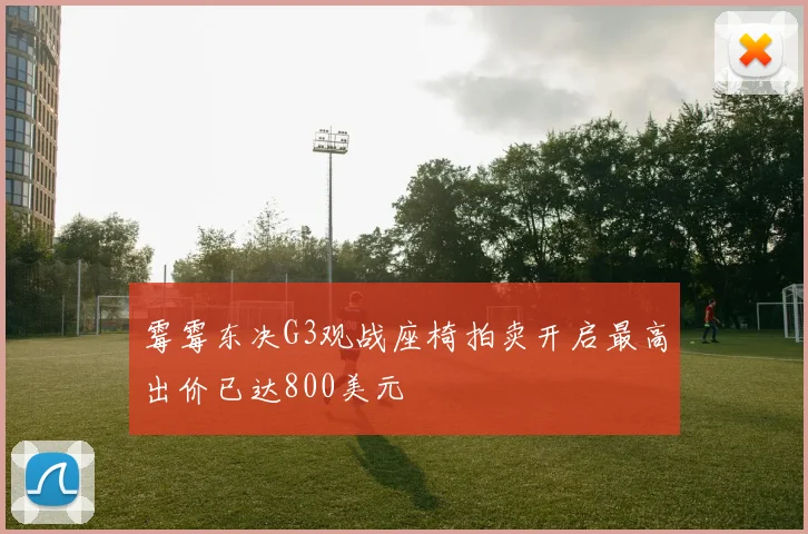 霉霉东决G3观战座椅拍卖开启最高出价已达800美元